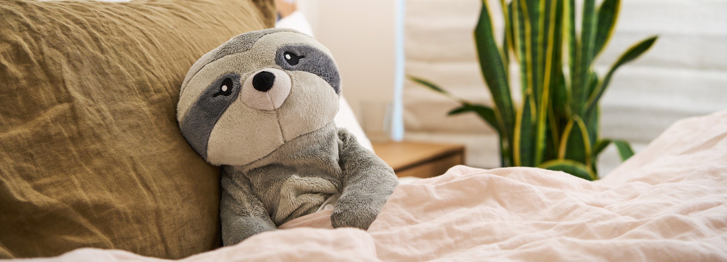 Sam the Sloth