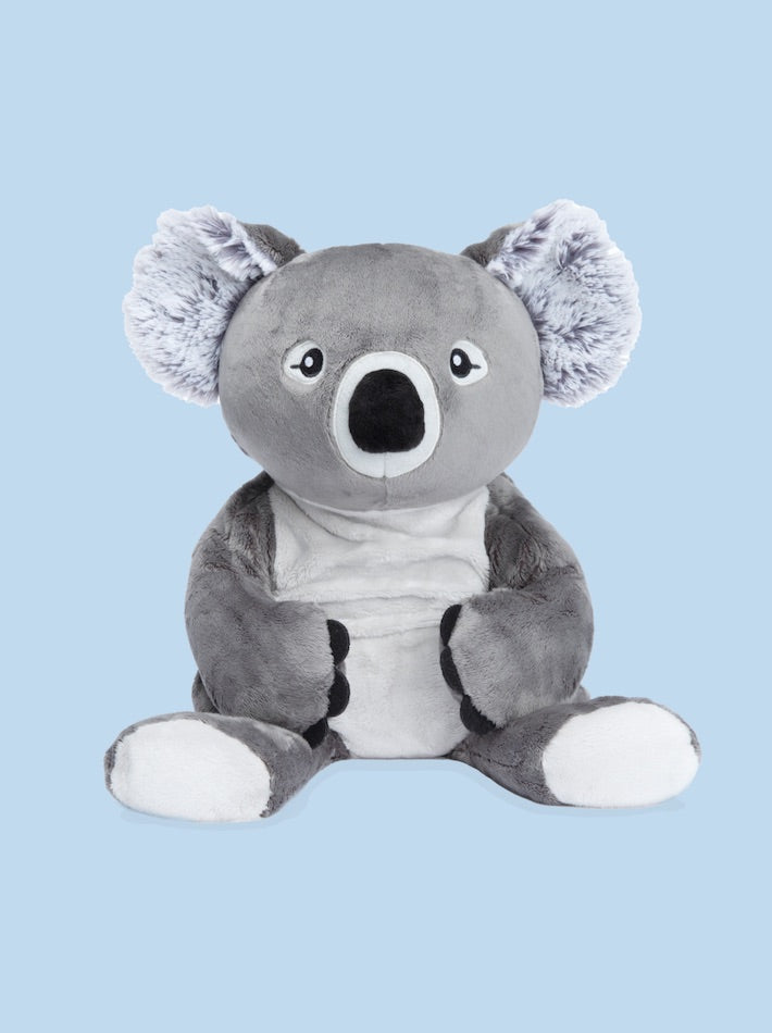 A koala stuffed animal sits in front of a blue background