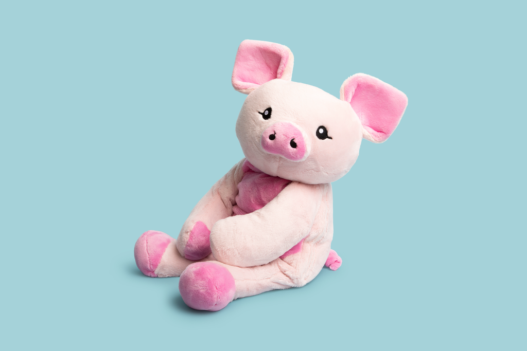 This photo shows Harper the Pig Hugimal in a cute seated pose looking at the camera, on a teal background